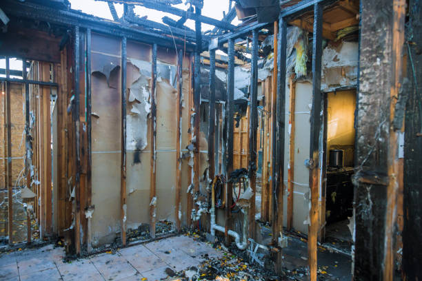 Professional Emergency Fire Cleanup technician working in Priceville, AL